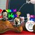 :iconkiriapetall11: