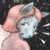 :iconkirikittn: