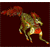 :iconkirinkitsune: