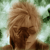 :iconkirkusmaximus: