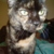 :iconkirpet07: