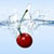 :iconkirschcookie: