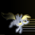 :iconkirstenquigley: