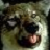 :iconkishorwolf: