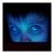:iconkishwhatwho: