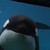 :iconkiskaorca: