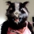 :iconkismammuth: