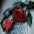 :iconkismetfaerie: