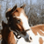 :iconkissedbypixies: