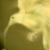 :iconKissingTheDawn: