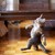 :iconkisska289: