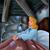 :iconkissmypaintbrush14: