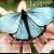 :iconkissofparadise813: