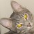 :iconkissy-moonlight: