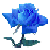 :iconkistyface: