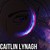 :iconkit-catx:
