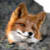 :iconkit-necron: