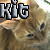 :iconkit-starr: