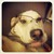 :iconkita-shiroi:
