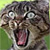 :iconkitajec: