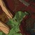 :iconkitana2u: