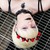 :iconkitara-chan-o3o: