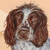:iconkite88: