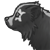 :iconkitei-san: