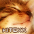 :iconkitexx: