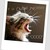 :iconkitkat79-howrse: