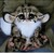 :iconkitkatheart19: