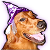 :iconkito47: