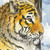 kitschpainter :iconkitschpainter: