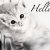 :iconkitsukikitty: