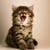 :iconkitsume-blackwood: