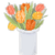 :iconkitsumiti: