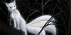 :iconkitsune-and-ookami: