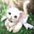 :iconkitsune-dreamer: