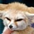 :iconkitsune3690:
