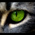 :iconkitsunexneko: