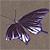 :iconKitsunia: