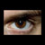:iconkitt-al3x:
