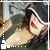 :iconKitt-Katt: