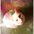 :iconkittaii:
