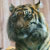 :iconkitteh-keket: