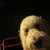 :iconkittehkrazy9000: