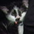 :iconkittehpoweraway: