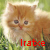 :iconkitten-scratch: