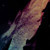 :iconkitten007799: