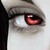 :iconkitten5772: